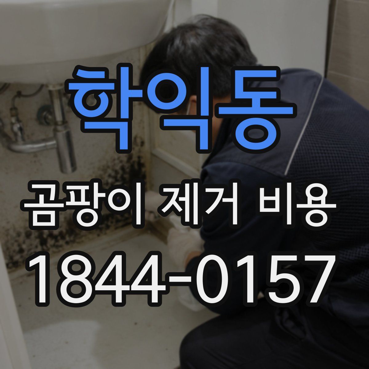 학익동 곰팡이 제거 비용