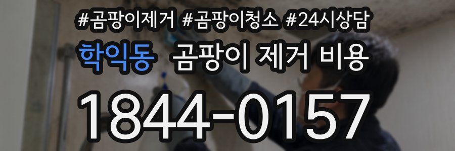 학익동 곰팡이 제거 비용