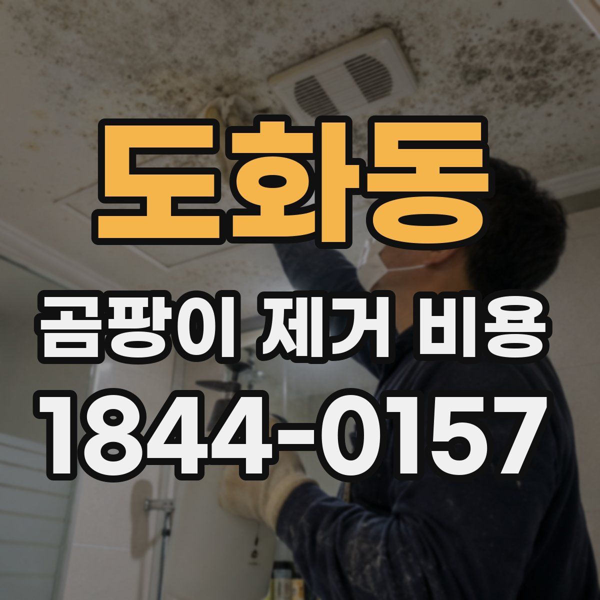 도화동 곰팡이 제거 비용