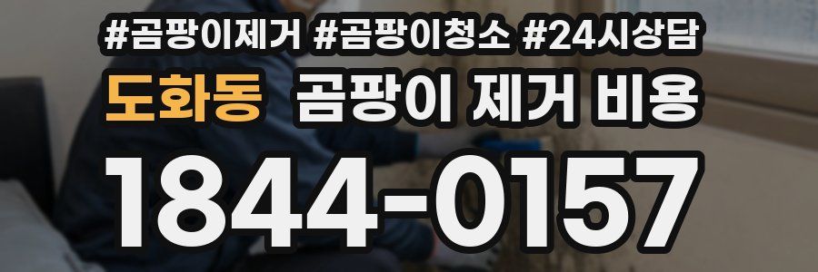 도화동 곰팡이 제거 비용
