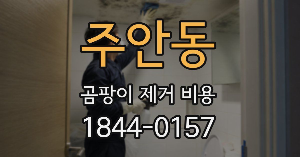주안동 곰팡이 제거 비용