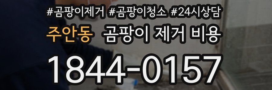 주안동 곰팡이 제거 비용