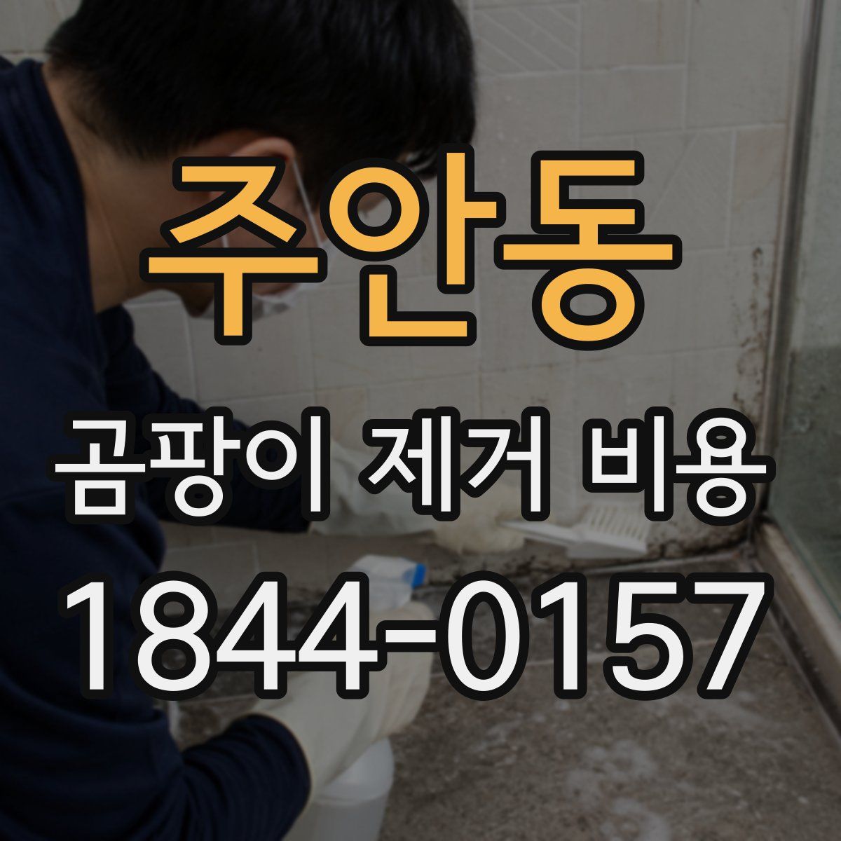 주안동 곰팡이 제거 비용
