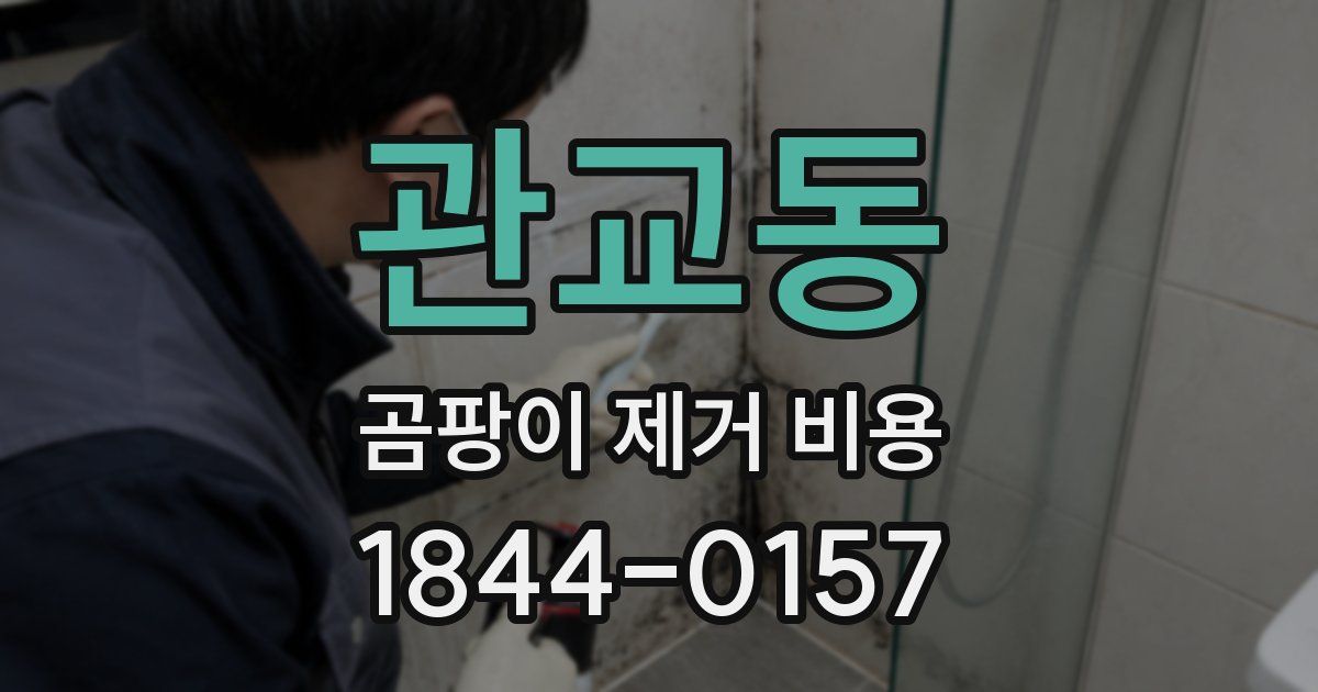 관교동 곰팡이 제거 비용