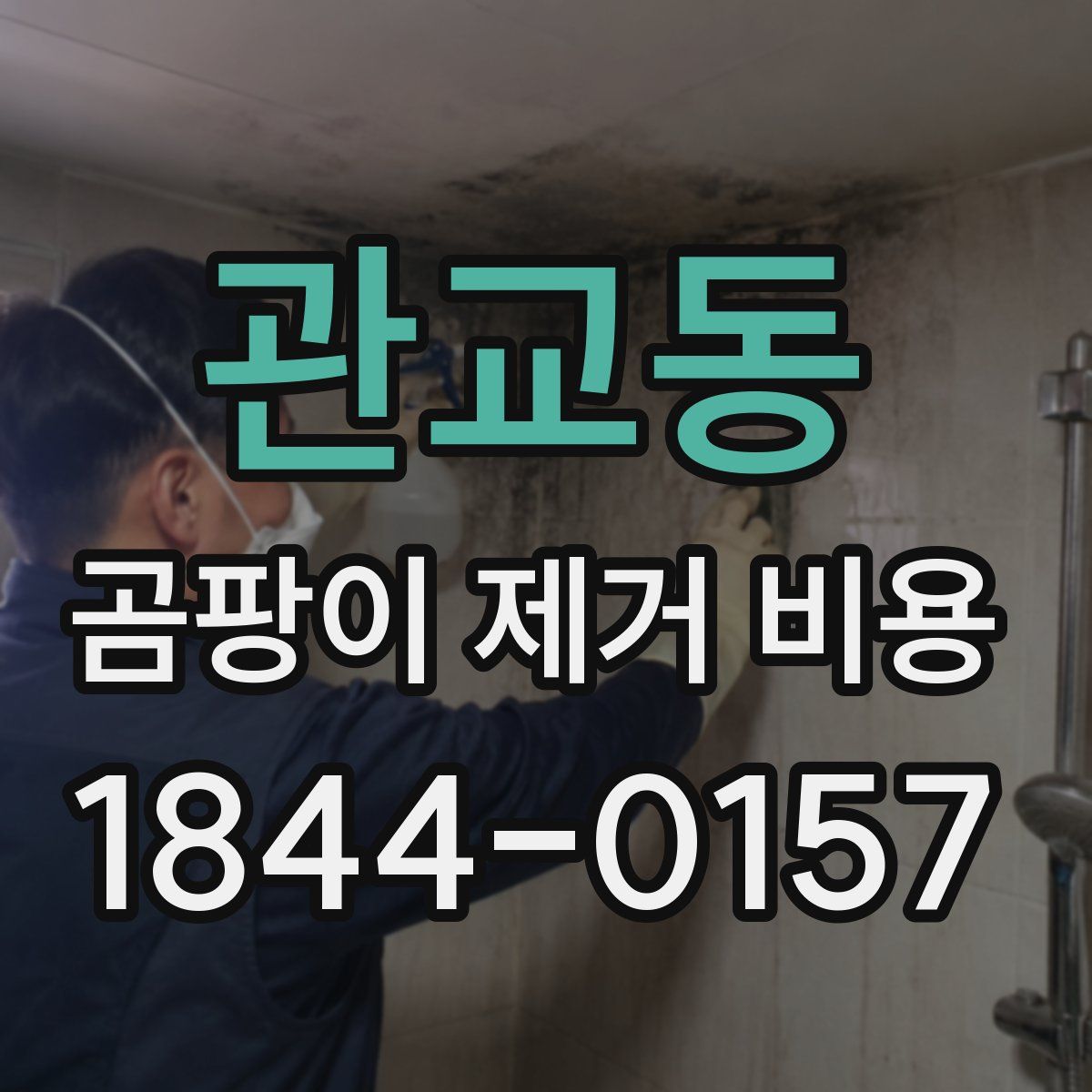 관교동 곰팡이 제거 비용
