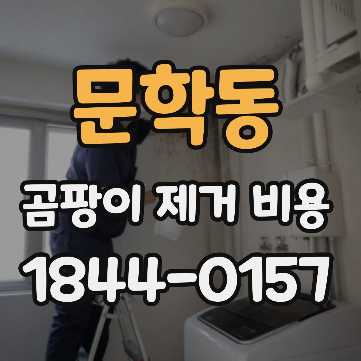 문학동 곰팡이 제거 비용
