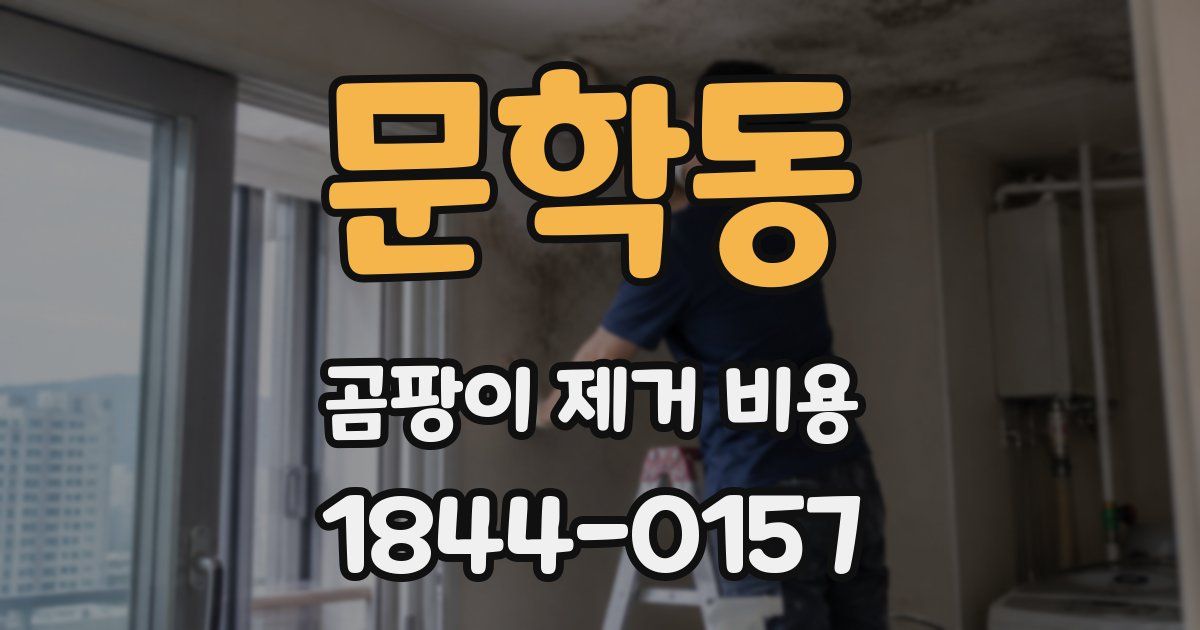 문학동 곰팡이 제거 비용