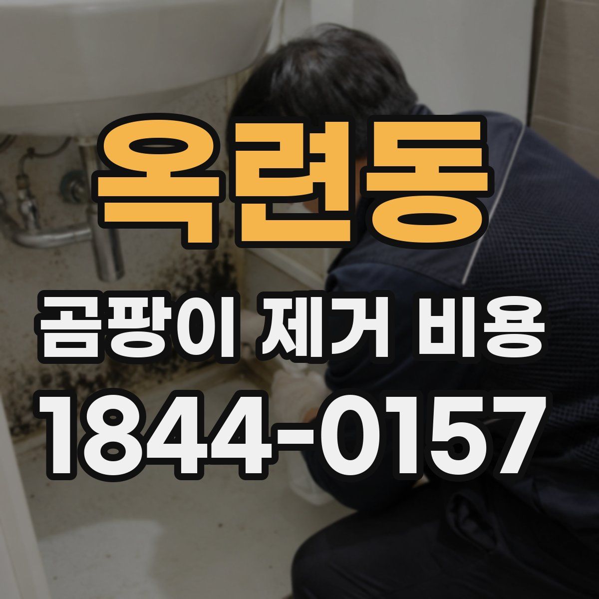옥련동 곰팡이 제거 비용