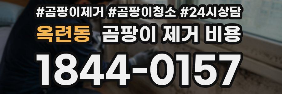 옥련동 곰팡이 제거 비용