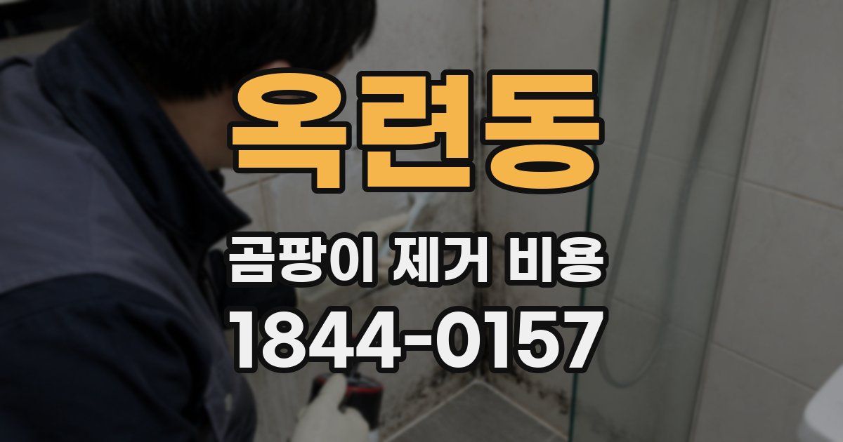 옥련동 곰팡이 제거 비용