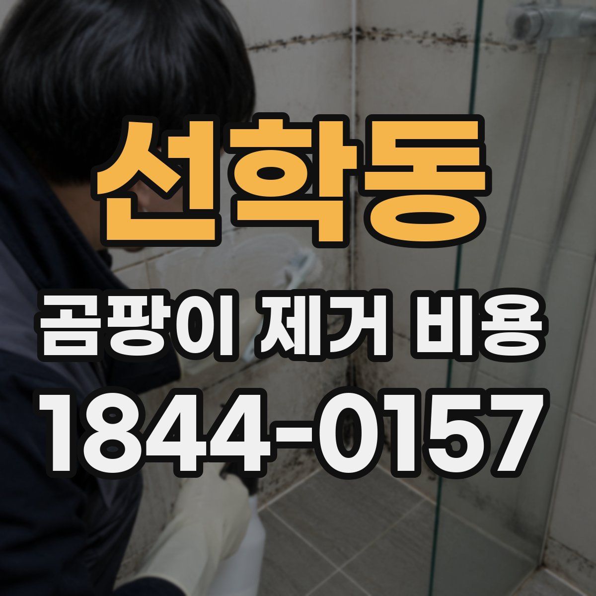 선학동 곰팡이 제거 비용