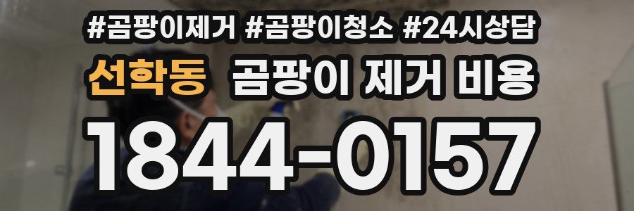 선학동 곰팡이 제거 비용