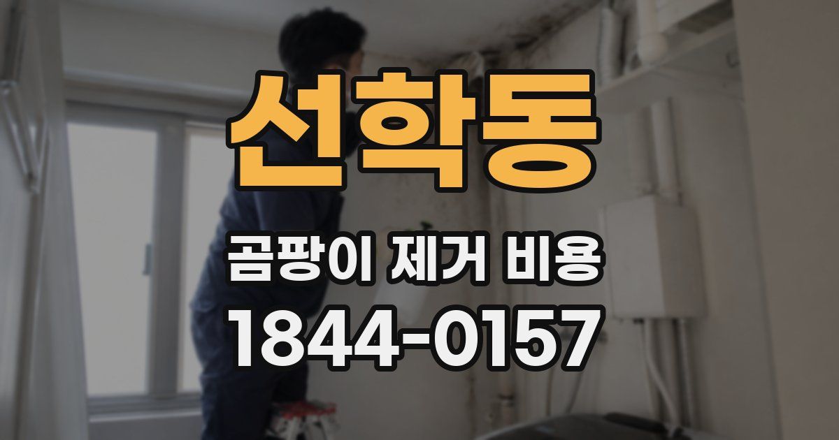 선학동 곰팡이 제거 비용