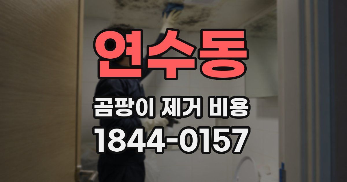 연수동 곰팡이 제거 비용