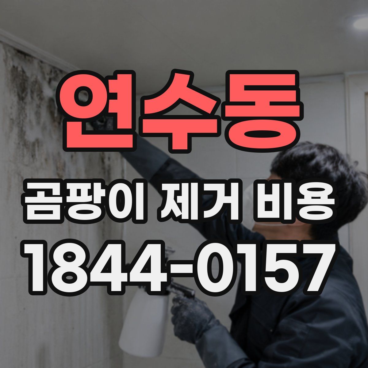 연수동 곰팡이 제거 비용