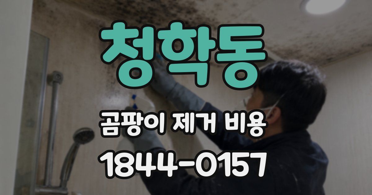청학동 곰팡이 제거 비용