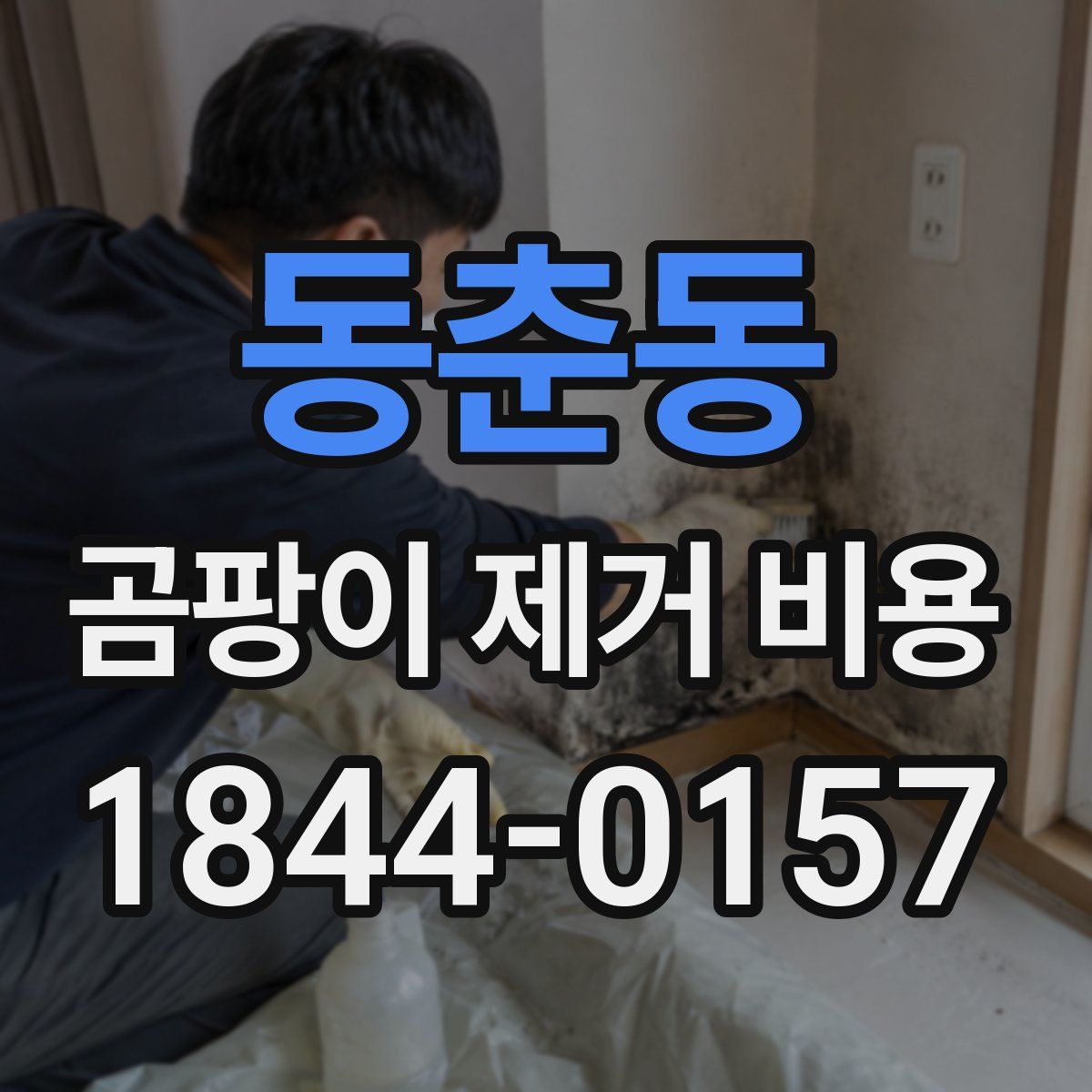 동춘동 곰팡이 제거 비용