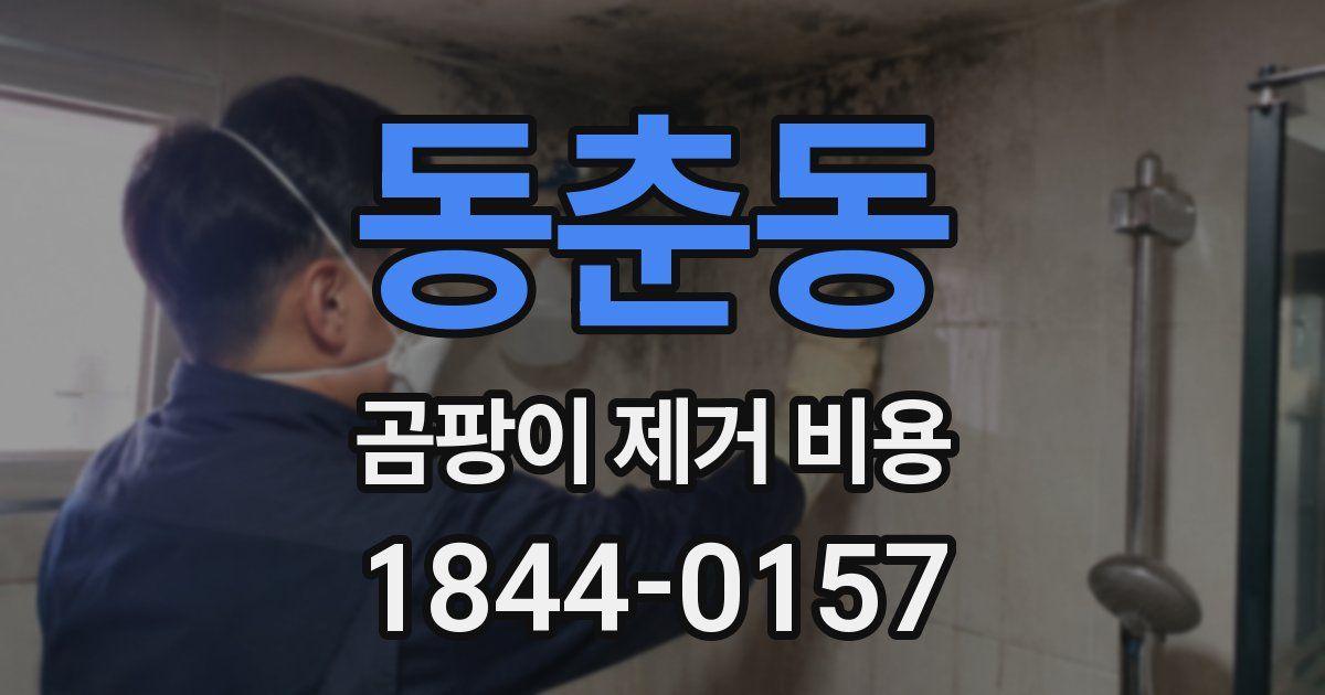 동춘동 곰팡이 제거 비용