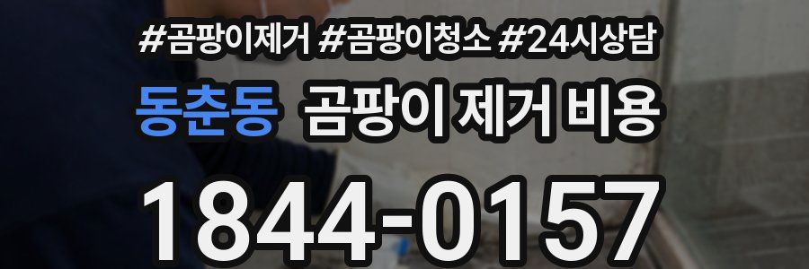 동춘동 곰팡이 제거 비용