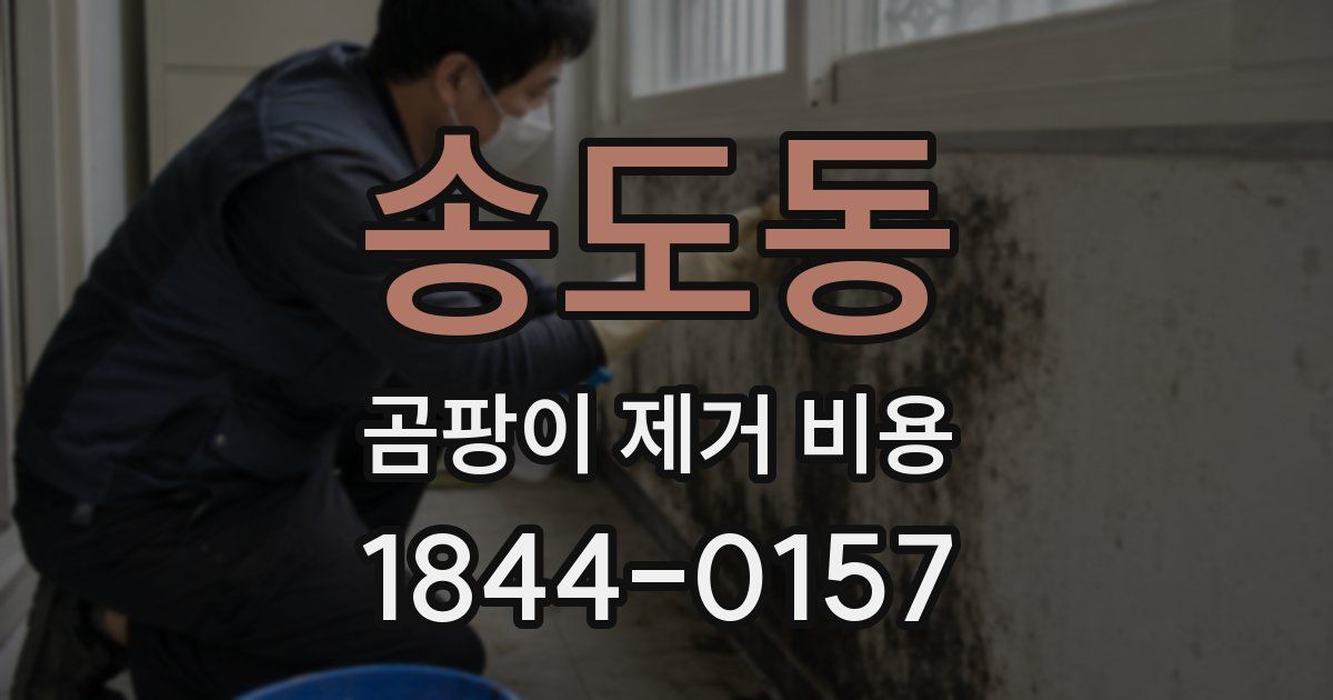 송도동 곰팡이 제거 비용