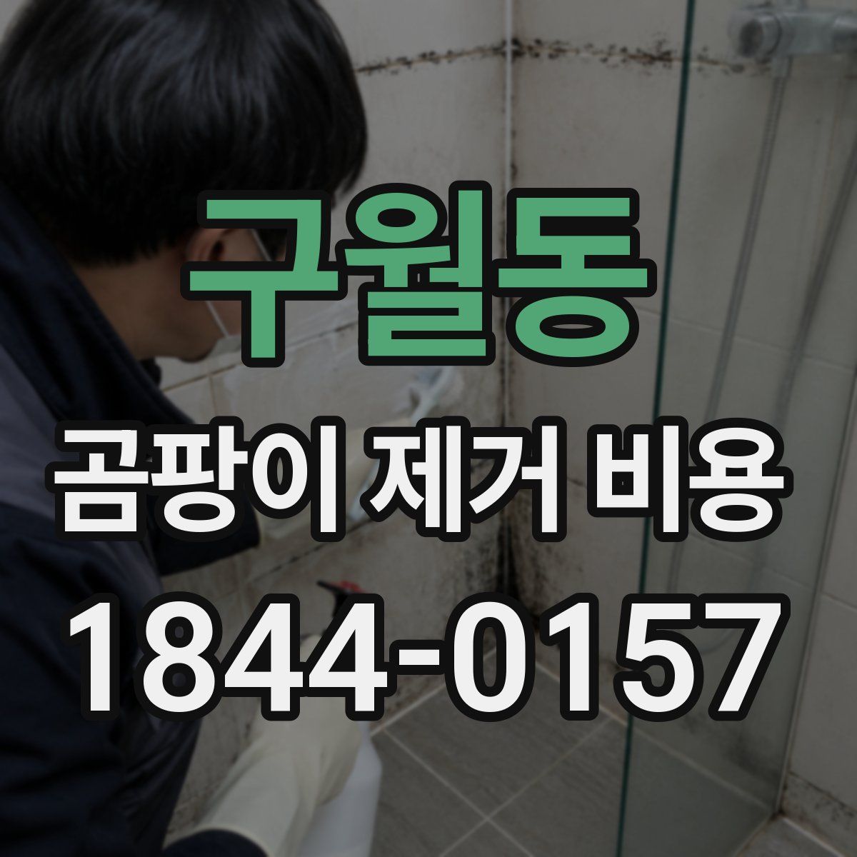 구월동 곰팡이 제거 비용