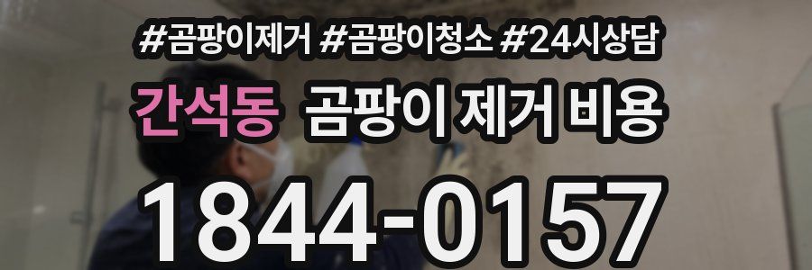 간석동 곰팡이 제거 비용
