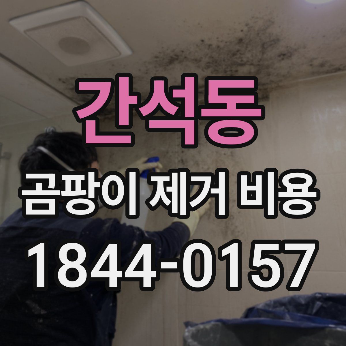 간석동 곰팡이 제거 비용