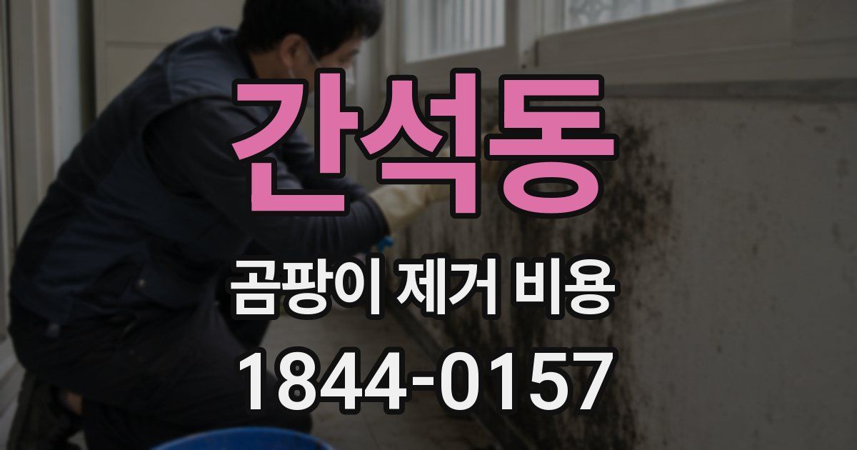 간석동 곰팡이 제거 비용