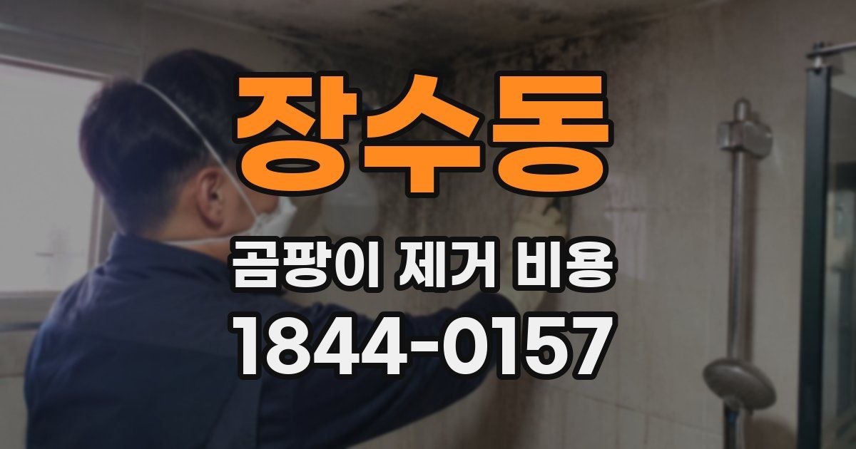 장수동 곰팡이 제거 비용