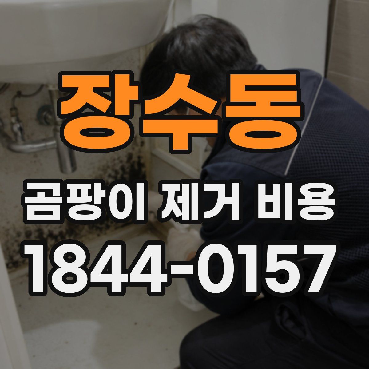 장수동 곰팡이 제거 비용