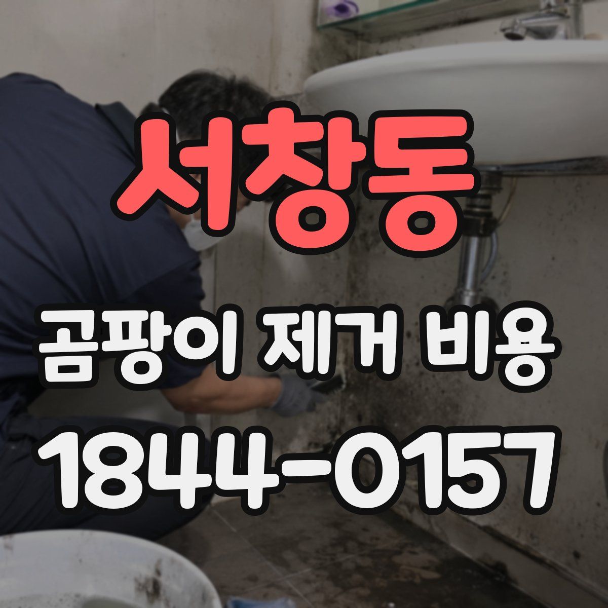 서창동 곰팡이 제거 비용
