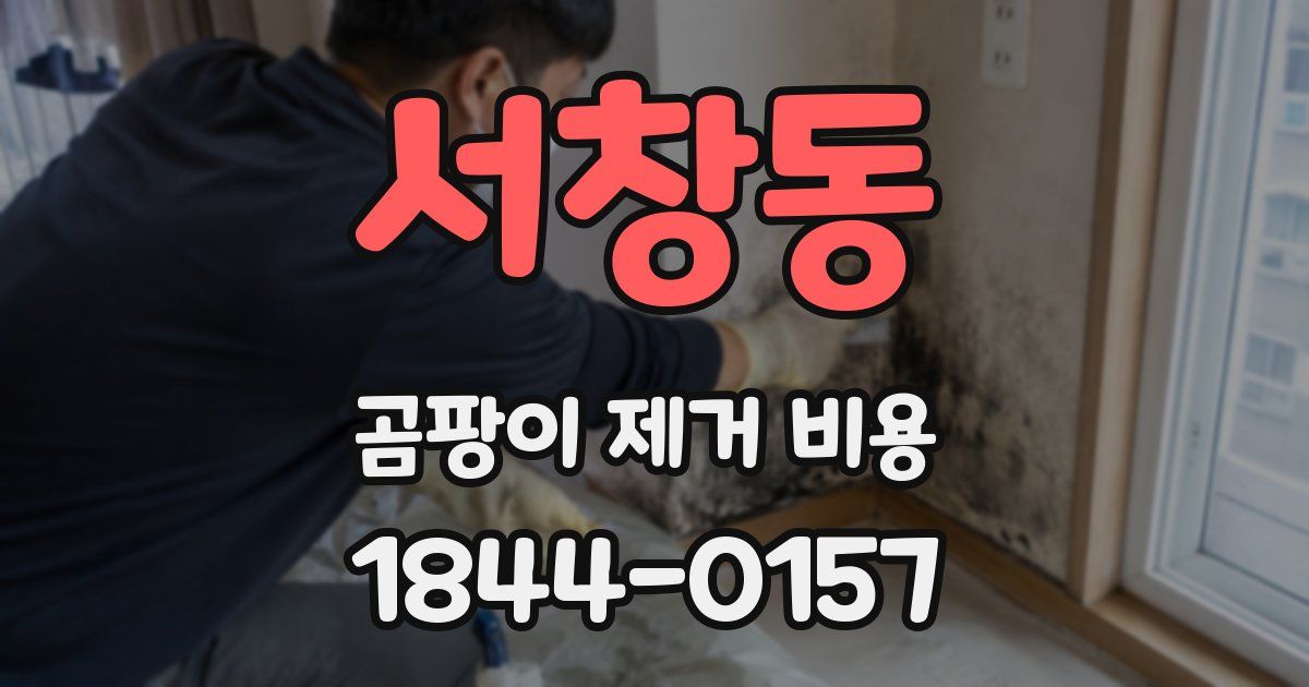 서창동 곰팡이 제거 비용