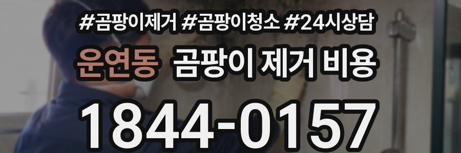 운연동 곰팡이 제거 비용