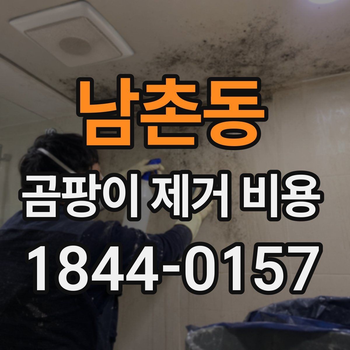 남촌동 곰팡이 제거 비용 욕실 천장 공사가 더 복잡해지는 경우