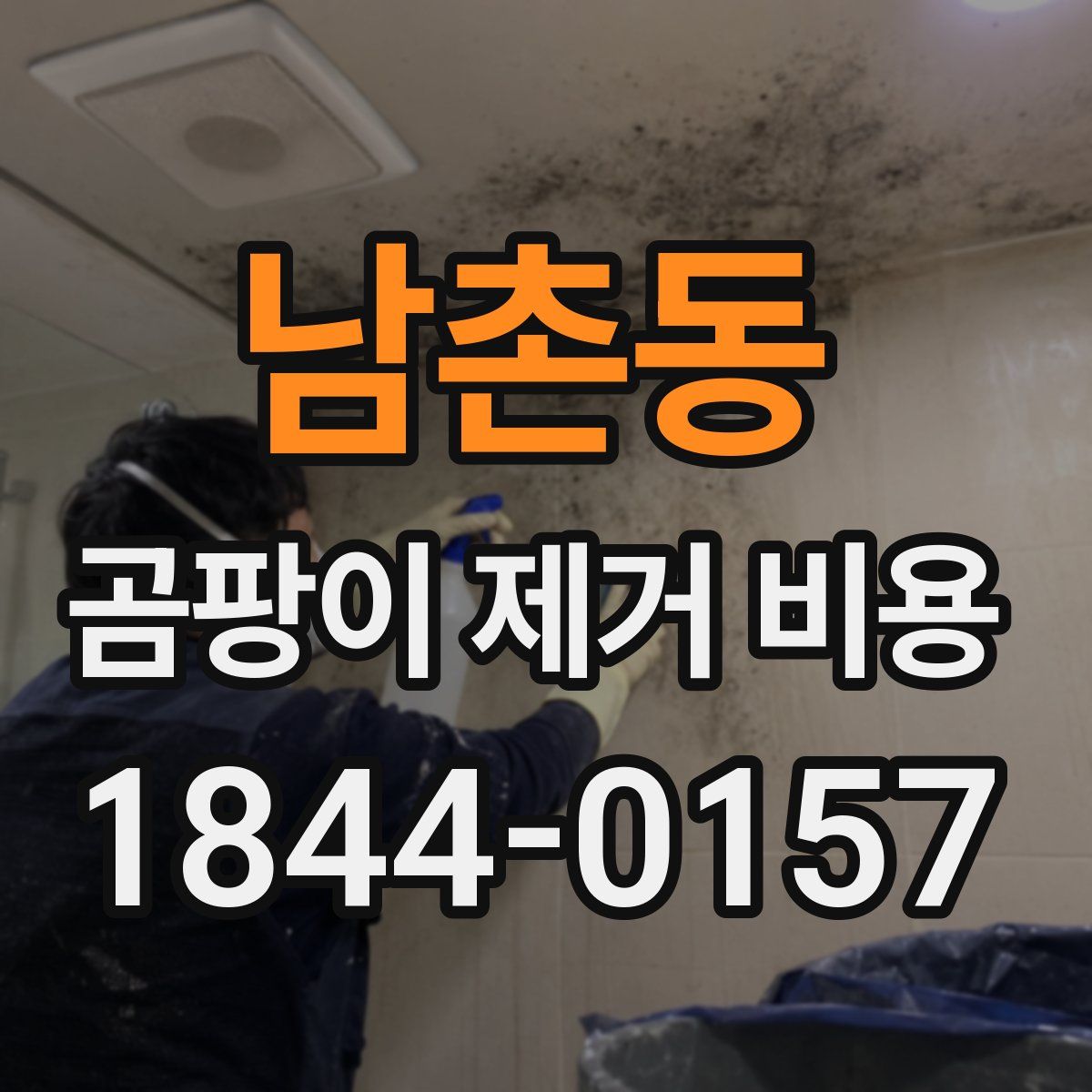 남촌동 곰팡이 제거 비용