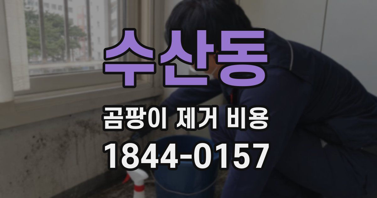수산동 곰팡이 제거 비용