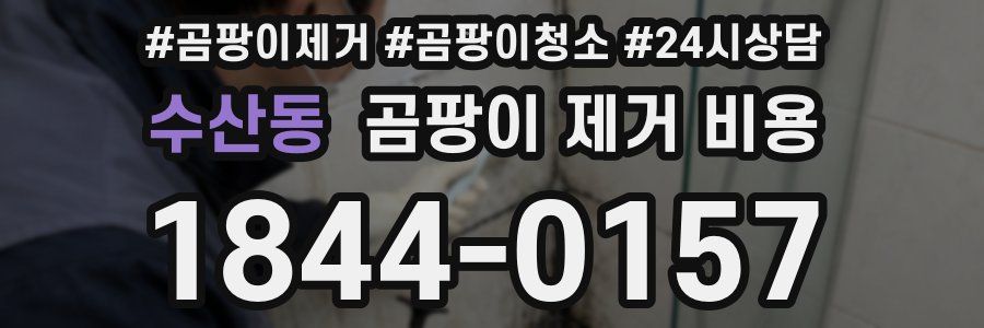 수산동 곰팡이 제거 비용
