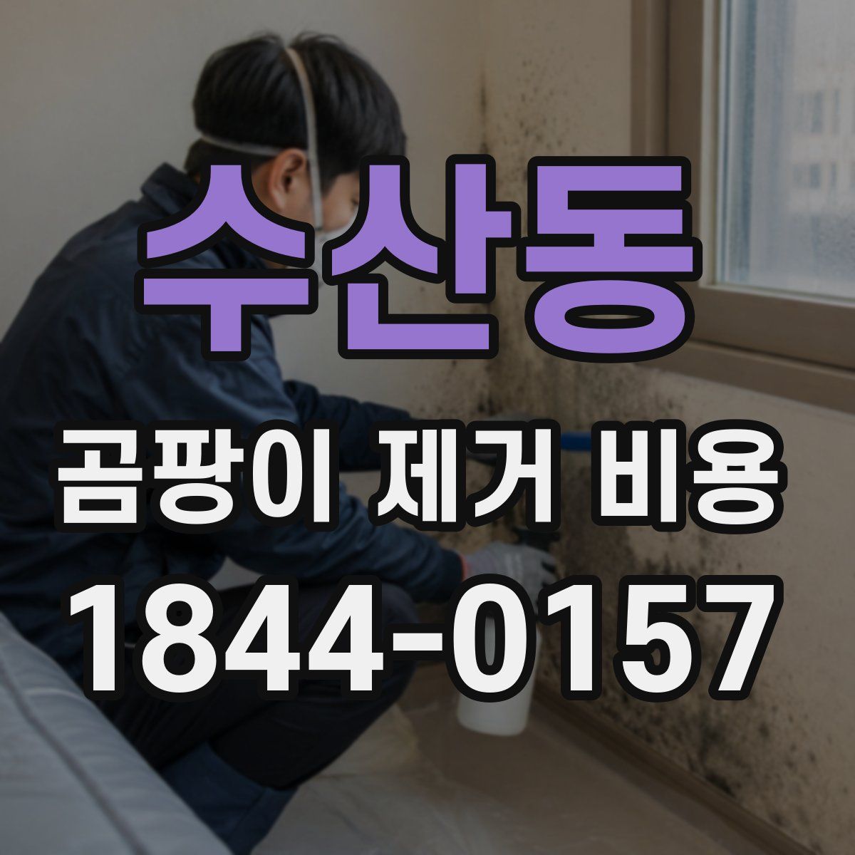 수산동 곰팡이 제거 비용