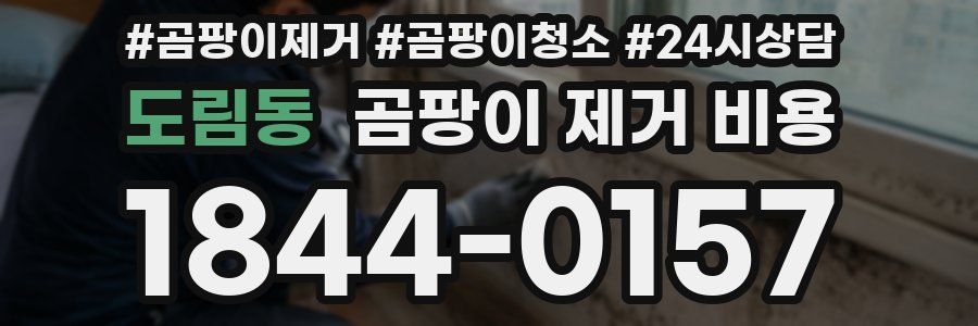도림동 곰팡이 제거 비용
