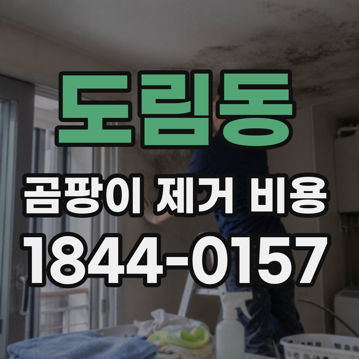 도림동 곰팡이 제거 비용