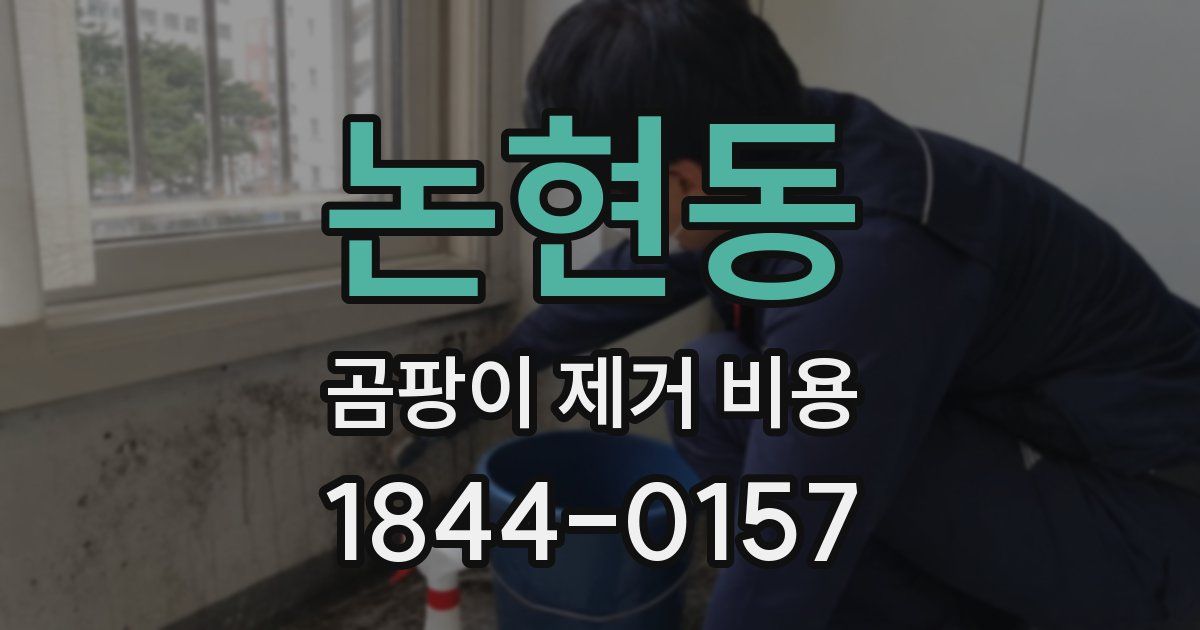 논현동 곰팡이 제거 비용