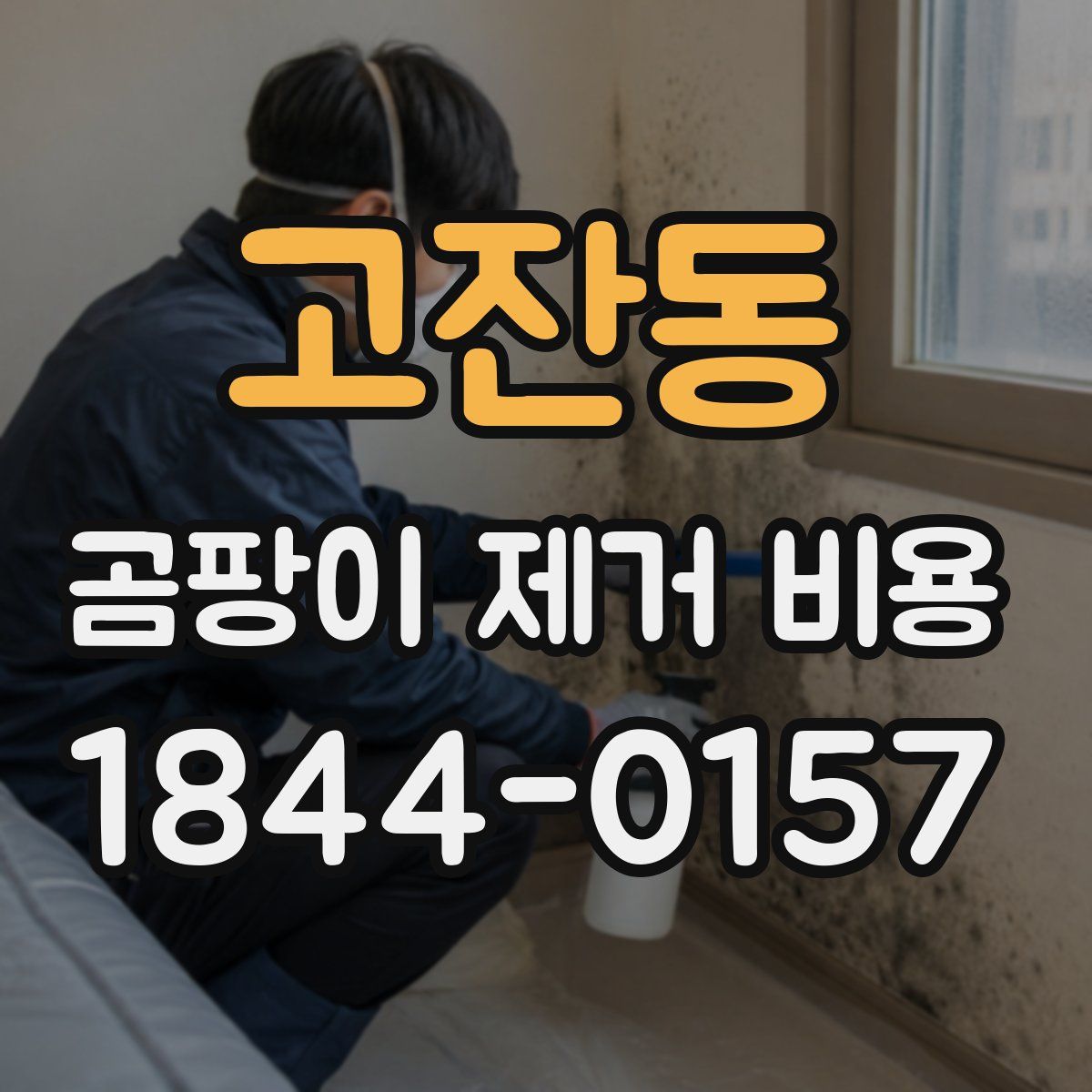 고잔동 곰팡이 제거 비용