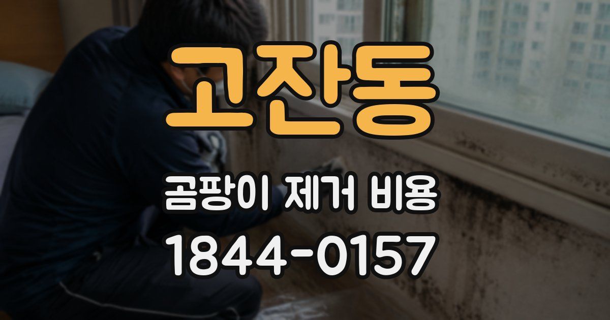 고잔동 곰팡이 제거 비용