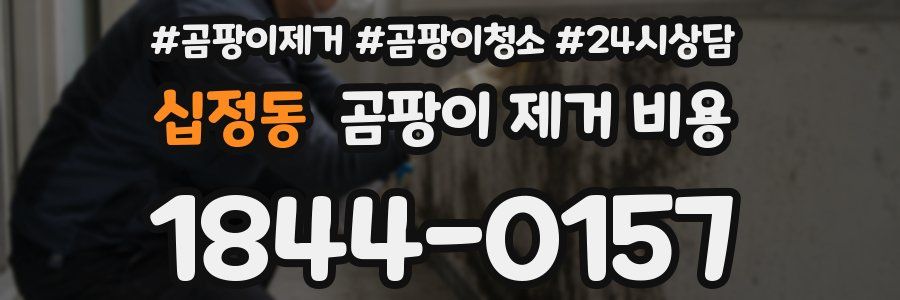 십정동 곰팡이 제거 비용