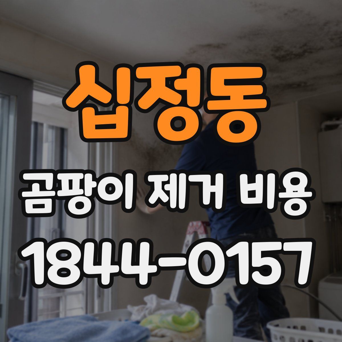 십정동 곰팡이 제거 비용