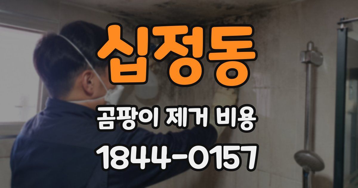 십정동 곰팡이 제거 비용