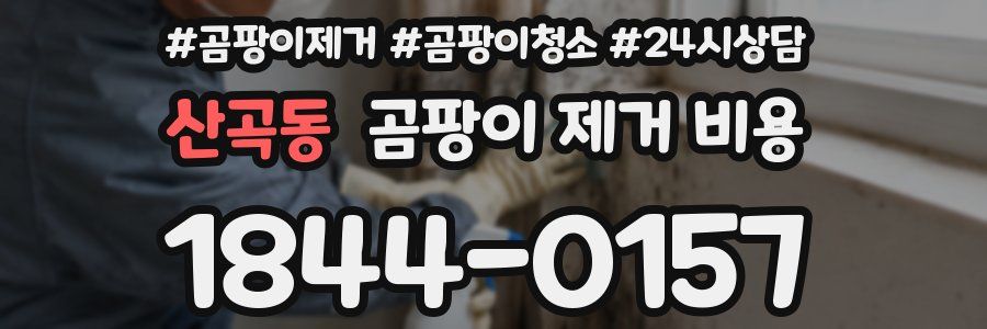산곡동 곰팡이 제거 비용
