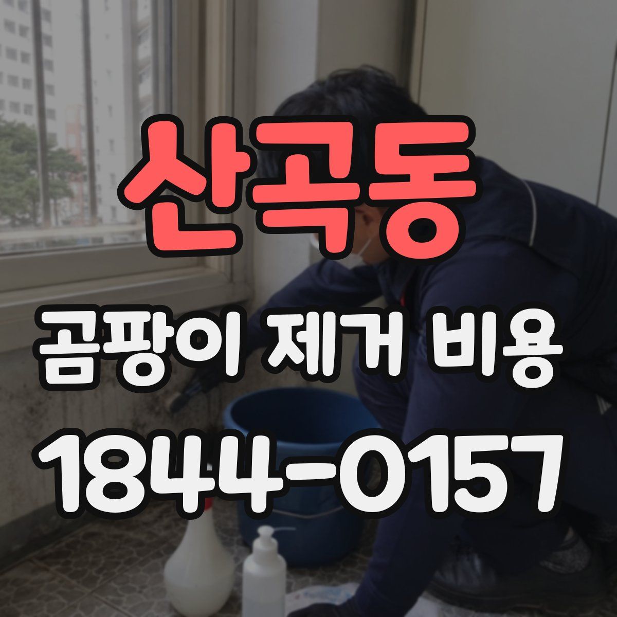 산곡동 곰팡이 제거 비용
