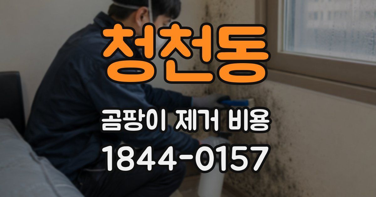 청천동 곰팡이 제거 비용