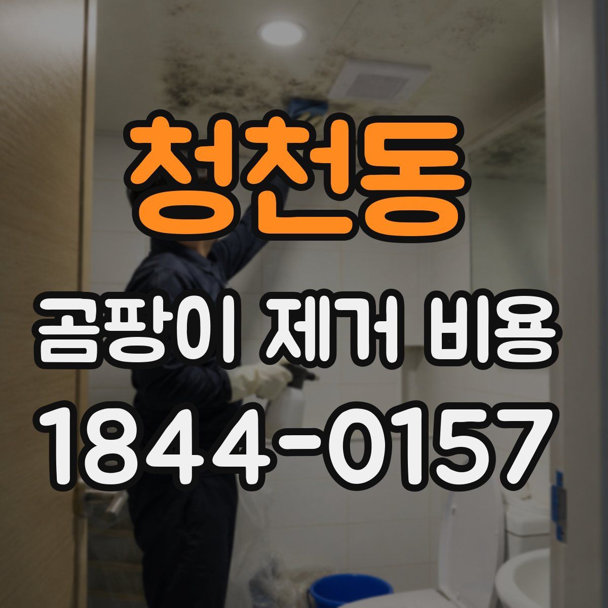 청천동 곰팡이 제거 비용